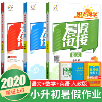 2020版阳光同学暑假衔接小升初语文数学英语人教版RJ全套小学生六年级暑假作业小学升初中预习衔接辅导资料书六年级暑期复习