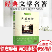 大师人文课堂再别康桥徐志摩著入选人教版语文教材高一必修1中小学生青少年课外阅读名著书籍湖南少年儿童出版社正版