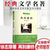 大师人文课堂再别康桥徐志摩著入选人教版语文教材高一必修1中小学生青少年课外阅读名著书籍湖南少年儿童出版社正版