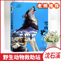 动物小说大王沈石溪野生动物救助站雪山狼魂8-10-13岁儿童课外阅读故事书以一颗赤子之心救援野生动物守护原始森林