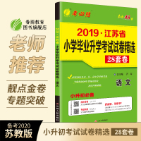 2020年小升初必备语文模拟卷 2019年江苏省小学毕业升学考试真题试卷精选春雨教育六年级小考总复习资料教辅书附赠统编版