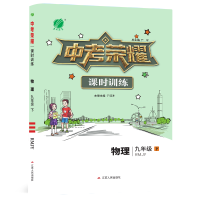 2020春中考荣耀课时训练 九年级 物理 初中 (下) 人教版