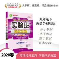 [外研社]2020春新版实验班提优训练英语九年级下册新标准WYS 初中生教辅教科配套用书正版期中期末测试卷同步练习册 春