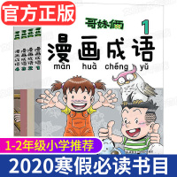 2020寒假读一本好书 哥妹俩漫画成语全套4册 徐有利 成语学习拼音拼读 爆笑故事漫画书 2020年小学一二年级寒假必读