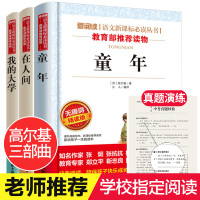 全套3册 高尔基三部曲 童年在人间我的大学 正版原著 中小学生 六年级课外阅读书籍青少年版儿童故事书8-12-15岁外国