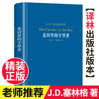 麦田里的守望者中文原著正版精装译林塞林格代表作施咸荣译美国文学经典青春成长推荐阅读小说外国文学世界名著完整版无删减
