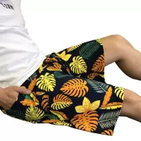 夏季新款男士薄款绵绸裤宽松加大码家居沙滩裤人造棉睡裤休闲短裤
