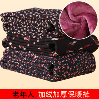 棉裤女士秋冬老年人中厚加绒单层一体宽松弹力高腰护腰印花保暖裤