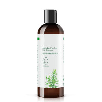 澳洲茶树精油洗发水清爽控油清洁植物精华洗发露AA 洗发水300ml 正常规格