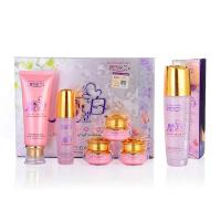 正品丹雪尼兰魔立白早晚霜魔力白五件套装晶致莹白五合一日霜晚霜珍珠霜 爽肤水精华液单品护肤化妆品专柜