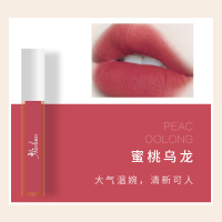 爱而乐6D益生菌牙膏爱而乐唇釉丝绒雾面哑光唇彩持久显白口红女学生豆沙色番茄色