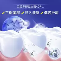 海洋之秘益生菌牙膏按压式海洋之风益生菌牙膏男女清新口气口腔异味大容量 258G