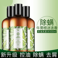迷迭香洗发水去螨虫虫满虫洗发水牛蒡根迷迭香洗发水500ml男女去头皮屑控油无硅油洗发水