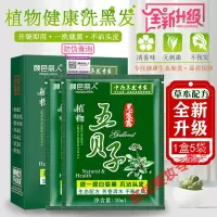 小包装染发五贝子染发剂小包装染发膏一洗黑洗发水袋装天然遮白发