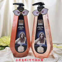 【专营店优选】卡丹香巴香水洗发水沐浴露900ml去屑柔顺护发素持久留香肖战李佳琪抖音同款
