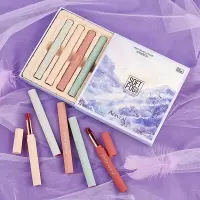 李佳奇的口红李佳琦口红套装哑光学生款女平价小众品牌小样礼盒装琪奇 礼盒装[五支口红套装]