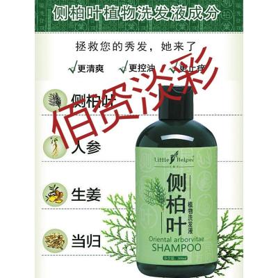 象美 侧柏叶增发水侧柏叶植物洗发水液酸性生姜汁油性止痒去屑男女士脂溢性控油 500ml