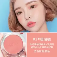 腮红裸妆高光一体盘晒红提亮肤色修容珠光网红同款胭脂