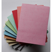 久创皮纹纸160g/ 复印纸 办公用纸