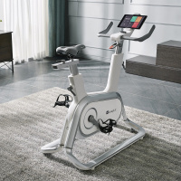 智能动感单车C1家用健身车锻炼器材运动静音燃脂室内自行车 高级白银色