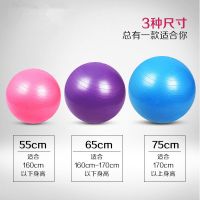 瑜伽球健身球普拉提球 加厚防爆平衡球孕妇助产分娩儿童球球