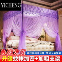 YICHENG2023新款老式落地家用文蚊帐公主卧室宫廷纹怅高级支撑架子免安装