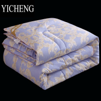 YICHENG四季丝棉被子轻薄款冬被春秋被秋冬季被芯双人空调被保暖加厚通用