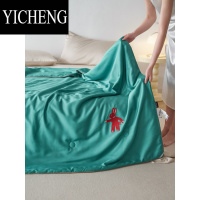 YICHENG夏季柔软莫代尔冰丝刺绣夏被单双人可机洗ins熊猫兔子空调薄被子