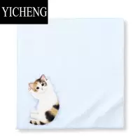 YICHENG日系创意猫咪毛巾 儿童宝宝洗脸巾擦手巾 小奶猫手帕方巾礼品婴儿