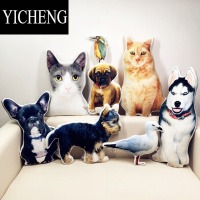 YICHENG异形宠物抱枕定制来图照片订做diy猫猫狗狗兔鸟纪念动物创意抱枕