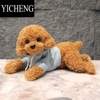 YICHENG可爱仿真泰迪狗毛绒玩具狗狗玩偶陪睡娃娃公仔女孩儿童睡觉抱枕
