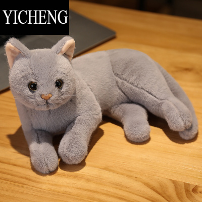 YICHENG小猫抱枕猫咪玩偶布娃娃可爱仿真猫公仔毛绒玩具儿童女生安抚礼品