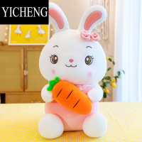 YICHENG抱着胡萝卜兔子公仔毛绒玩具布娃娃玩偶小白兔床上抱枕儿童礼物女