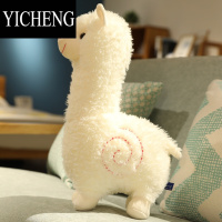 YICHENG驼公仔毛绒玩具小白抱枕安抚睡觉布娃娃玩偶生日礼物女