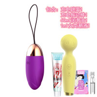 吉祥小炮无遥控无线充电单跳蛋学生小号成人情趣女振动器隐形穿戴宿舍 紫色+小话筒振动棒+60ml油+1ml高潮液+收纳