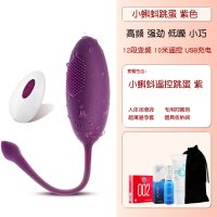 吉祥小炮女用品性玩具女性穿戴自尉器自慰神器跳蚤调情趣用具 浪漫紫[10米遥控]+仙女礼包