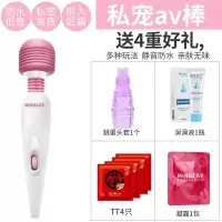 吉祥小炮迷你充电小号av按摩震动棒私处高潮自慰跳蛋阴蒂刺激学生女性用品 私宠av棒:B套餐