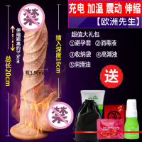 吉祥小炮假阳具私处女用女性性用具夫妻情趣用品调情自慰超大粗种马电动 升级欧洲先生[充电.加温.震动.伸缩]+情趣大礼包