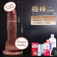 吉祥小炮自慰器女性用品超大粗种马仿真假阳具炮机阴茎可插入情趣用具成人 撸棒2号(长17.3cm,直径3.5cm)+女神大