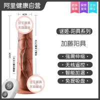 吉祥小炮女性用品自慰器棒私处仿真假阳具成入情趣用具调情系列性玩具炮机 加藤阳具
