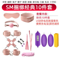 吉祥小炮调情趣用品SM捆绑式手铐皮鞭子玩具房趣惩罚女用具套装性工具道具 粉色SM十件套+usb双跳蛋+充电宝