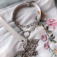 吉祥小炮心形项圈 带链条 +牵引链 爱心项圈调教SM束缚可爱风金属另类犬奴 白色项圈+牵引链