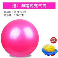 吉祥小炮瑜伽球夫妻房事性爱体位球垫调情另类激情SM玩具情侣酒店成人用品 圆形体位球[粉]单品+附赠充气泵