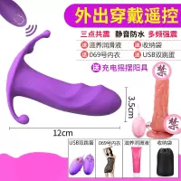 吉祥小炮跳蛋学生遥控无线男女性用品外出穿戴成人情激趣用具调情自慰高潮 穿戴跳蛋+仿真阳具+双跳蛋+网衣+润滑油+收纳袋