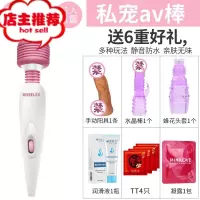 迷你充电小号av按摩震动棒私处高潮自慰跳蛋阴蒂刺激女性用品欢乐小鸟 私宠av棒:D套餐