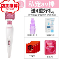 迷你充电小号av按摩震动棒私处高潮自慰跳蛋阴蒂刺激女性用品欢乐小鸟 私宠av棒:B套餐