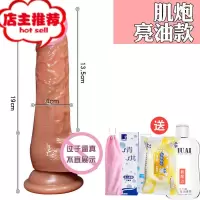液态硅胶手动柔软仿真阳具JJ假阴茎女用自慰器成人情趣性用品欢乐小鸟 肌炮[亮油款]仿真器具