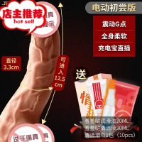 女人性用仿真阳具假阴茎夫妻高潮自慰器私处成人罗马大帝性玩具欢乐小鸟 [电动初尝版](可插入13CM)送定制充电宝仿真器具