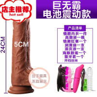 女用仿真阳具自慰器插入成人用品阳具充电震动阴茎巨无霸超大欢乐小鸟 电池震动款送网衣+高潮液+肛塞+润滑+跳蛋+丝仿真器具