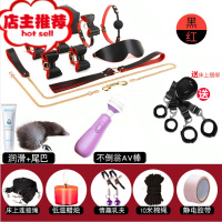 SM情趣捆绑调教K9道具性用品束缚另类套装手铐脚铐项圈男女奴刑具欢乐小鸟 黑红套装[配套]+送蜡烛+乳夹+连接绳+棉绳+